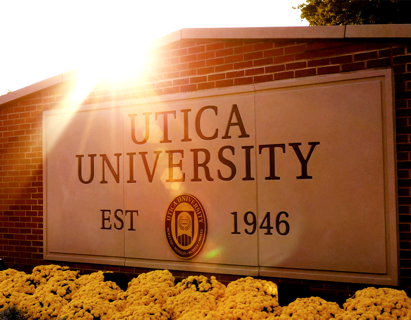 Utica University