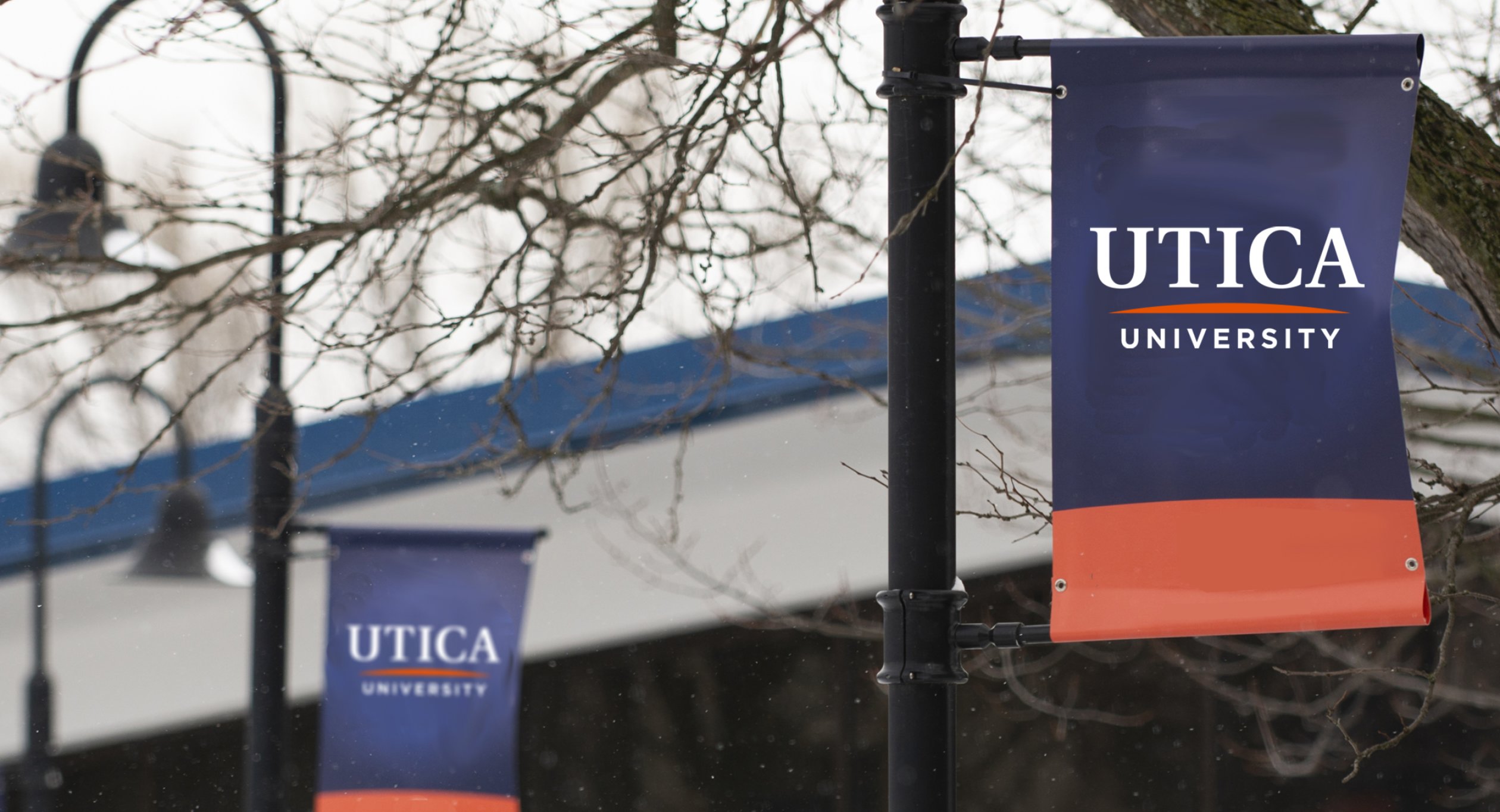 Utica University