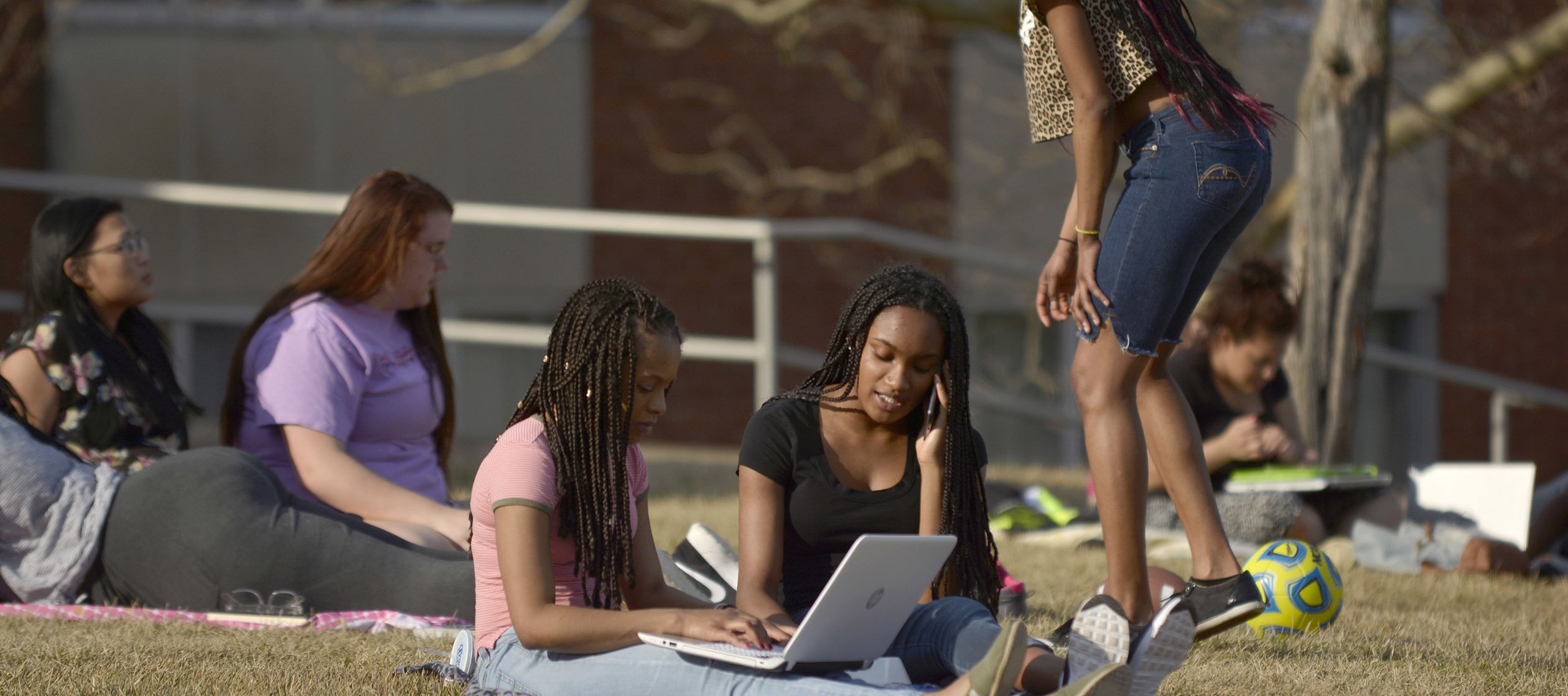 Campus Scenic Students on lawn studying 20160309 dsc2601