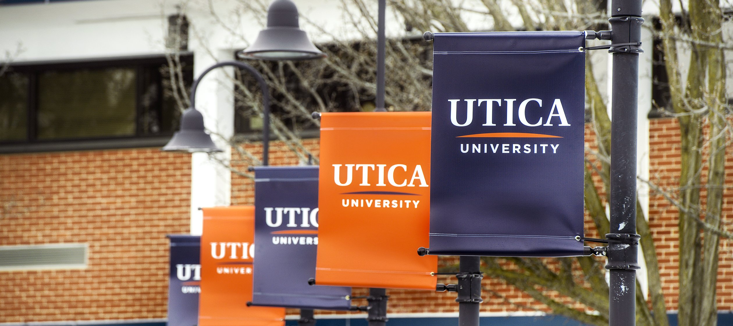 Utica University