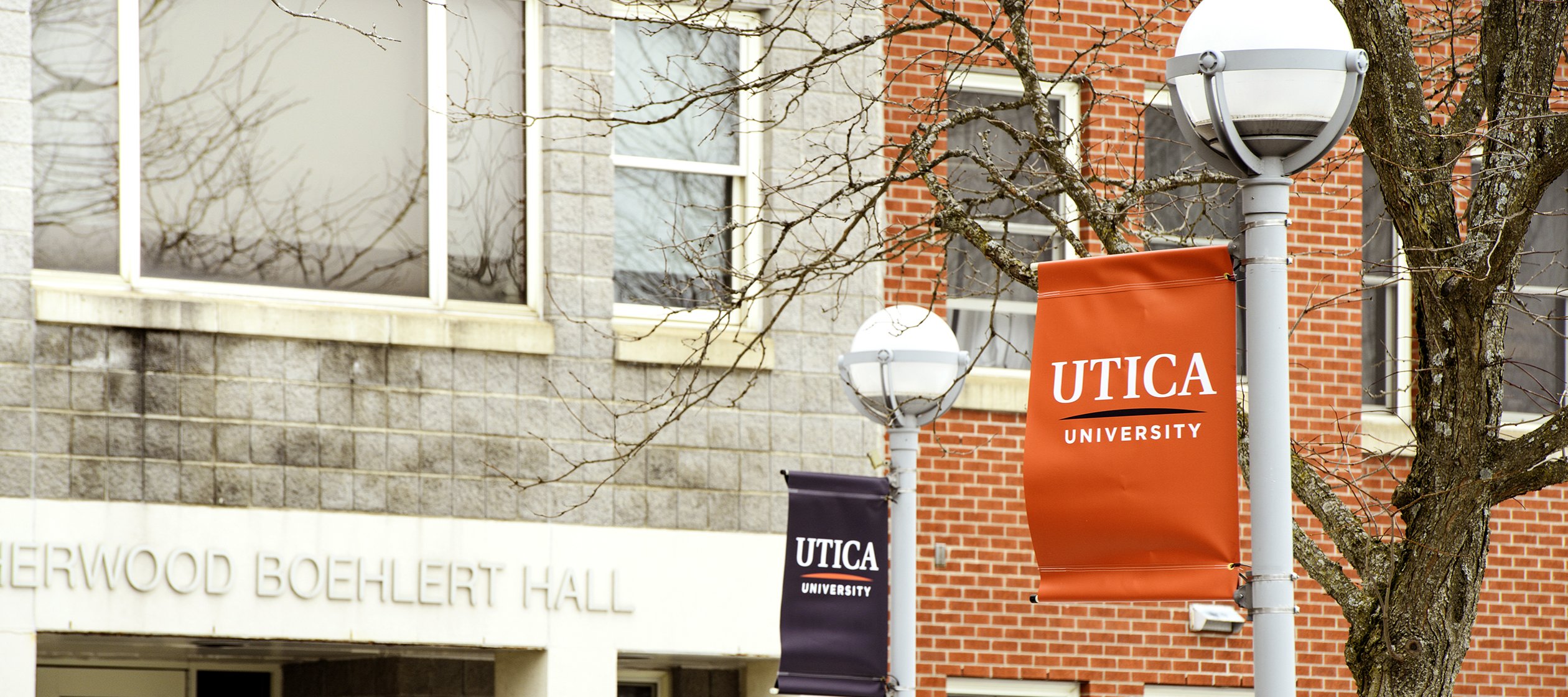 Utica University