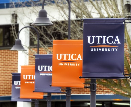 Utica University